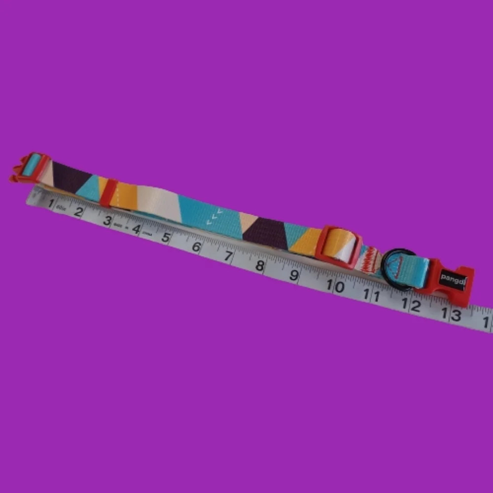 Medium Dog Collar By PANGDI Pet Clasp Adjustable Colorful Funky Artistic Print